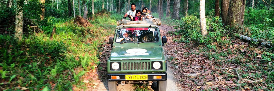 Gorumara National Park