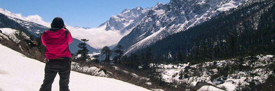 Yumthang Valley