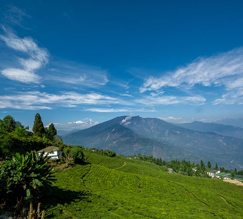 The Sparkling Gems of Sikkim